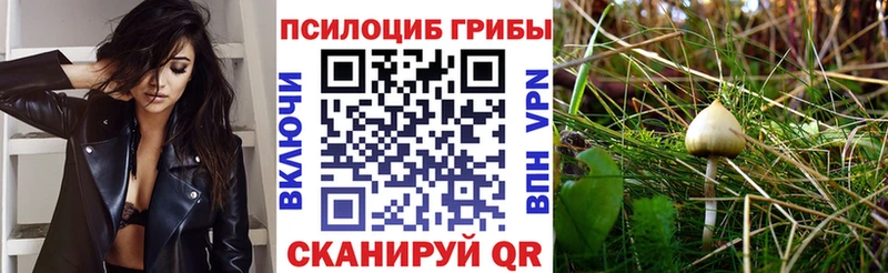 Псилоцибиновые грибы мицелий дарк нет формула Духовщина хочу